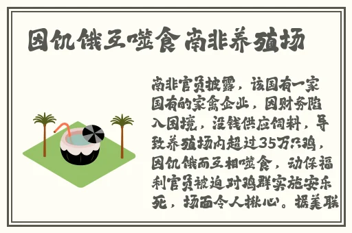 中文X站下载